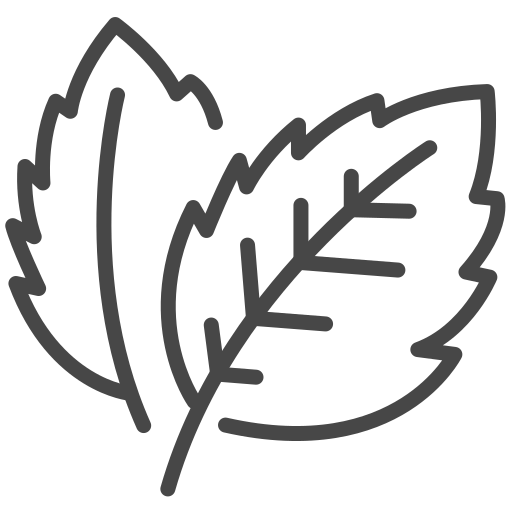 Line art icon of fresh mint leaves representing Savoritea's mint and lemongrass herbal tea profile.