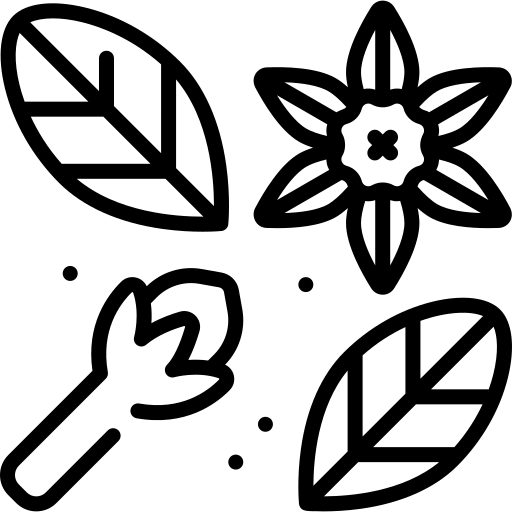 Line art icon featuring traditional tea leaves, a clove bud, and aromatic spices representing a spiced tea profile.